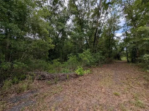 91ST Street Alachua FL 32615
