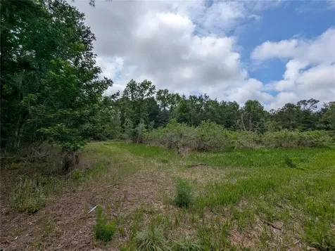 91ST Street Alachua FL 32615