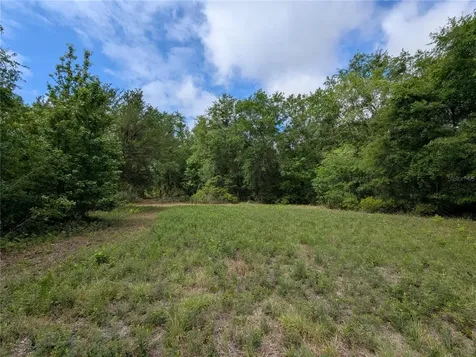 91ST Street Alachua FL 32615