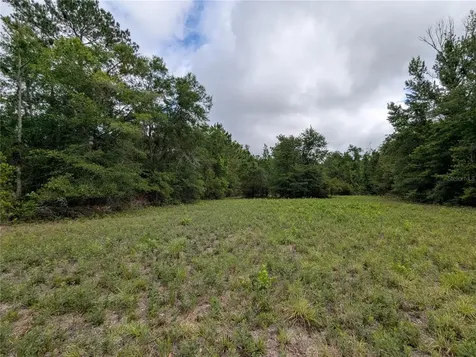 91ST Street Alachua FL 32615