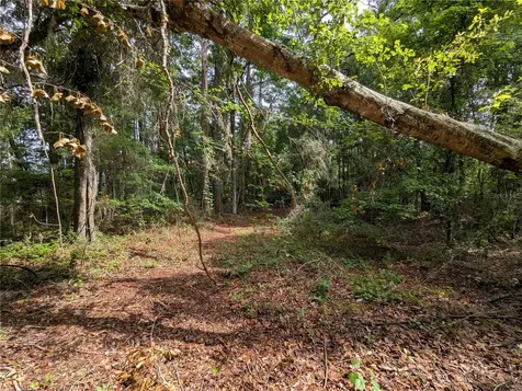 91ST Street Alachua FL 32615