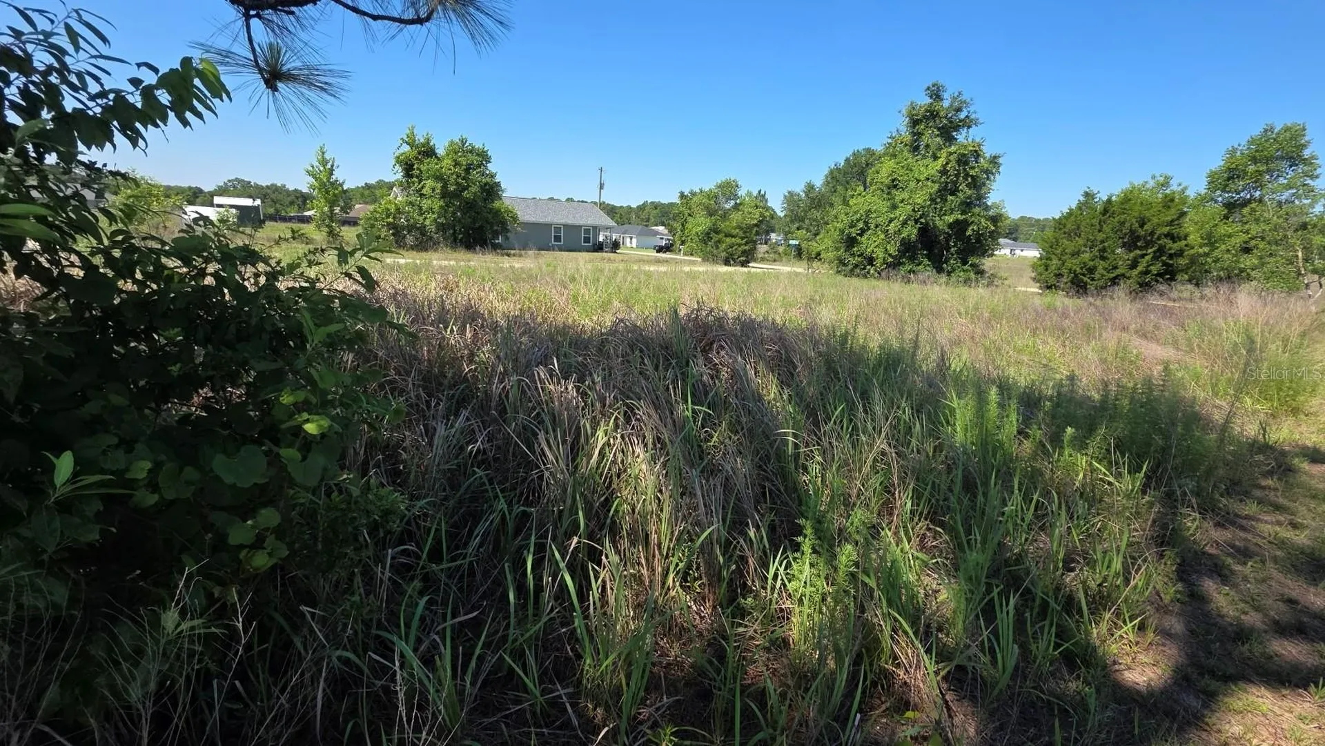 SW 149th Terrace Ocala FL 34481
