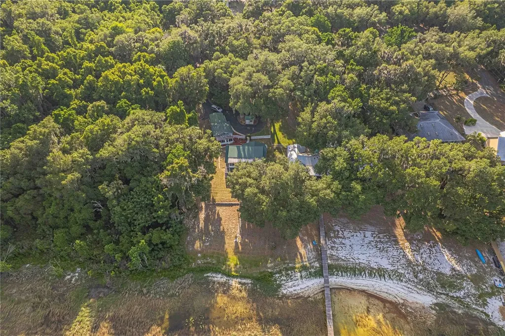 11690 SE 132nd Street Road Ocklawaha FL 32179
