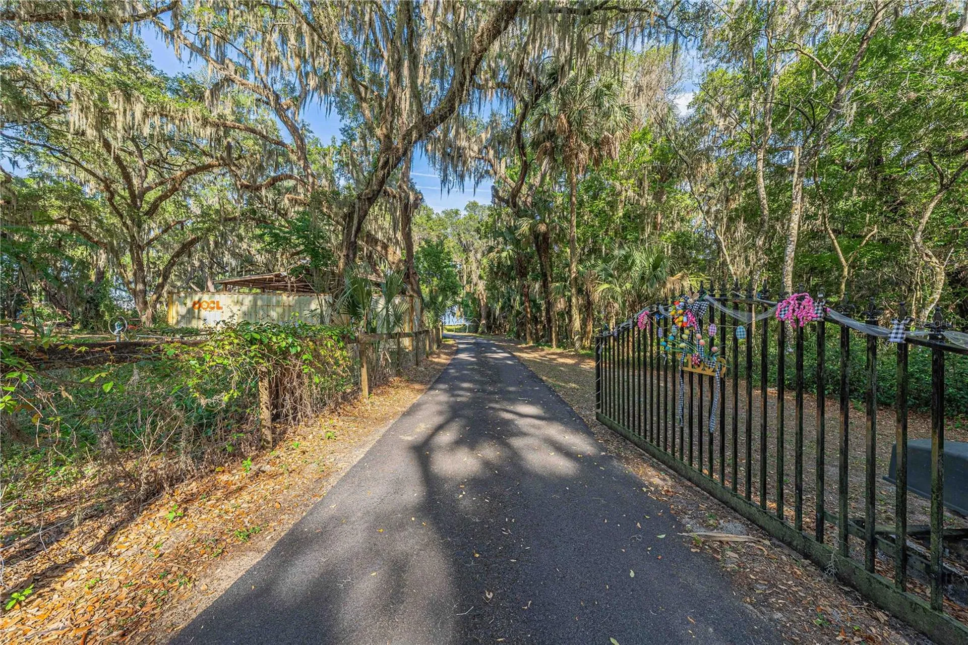 11690 SE 132nd Street Road Ocklawaha FL 32179