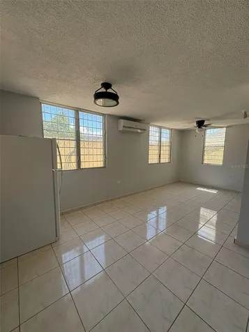 4205 Urb Villa Del Carmen Avenue Constancia Ponce PR 00731