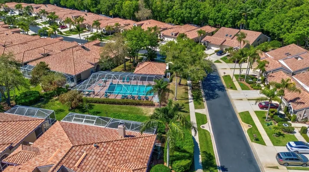 3867 Darston Street Palm Harbor FL 34685