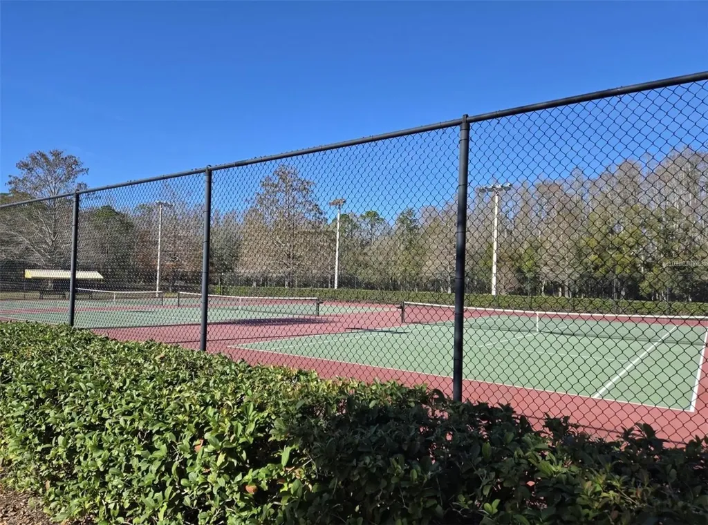 3867 Darston Street Palm Harbor FL 34685