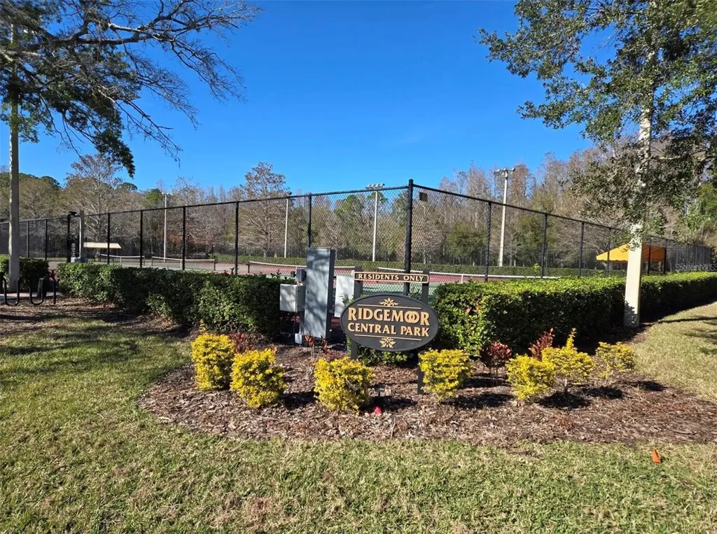 3867 Darston Street Palm Harbor FL 34685