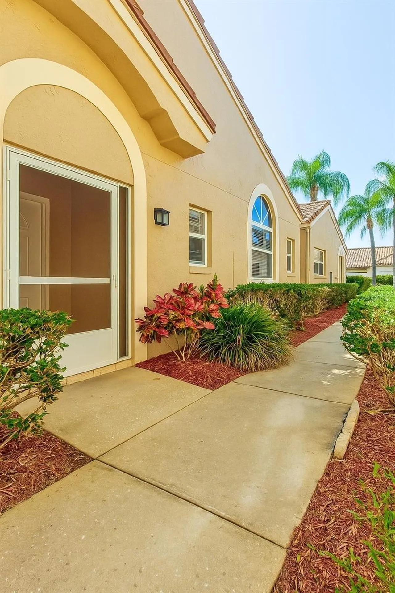 3867 Darston Street Palm Harbor FL 34685