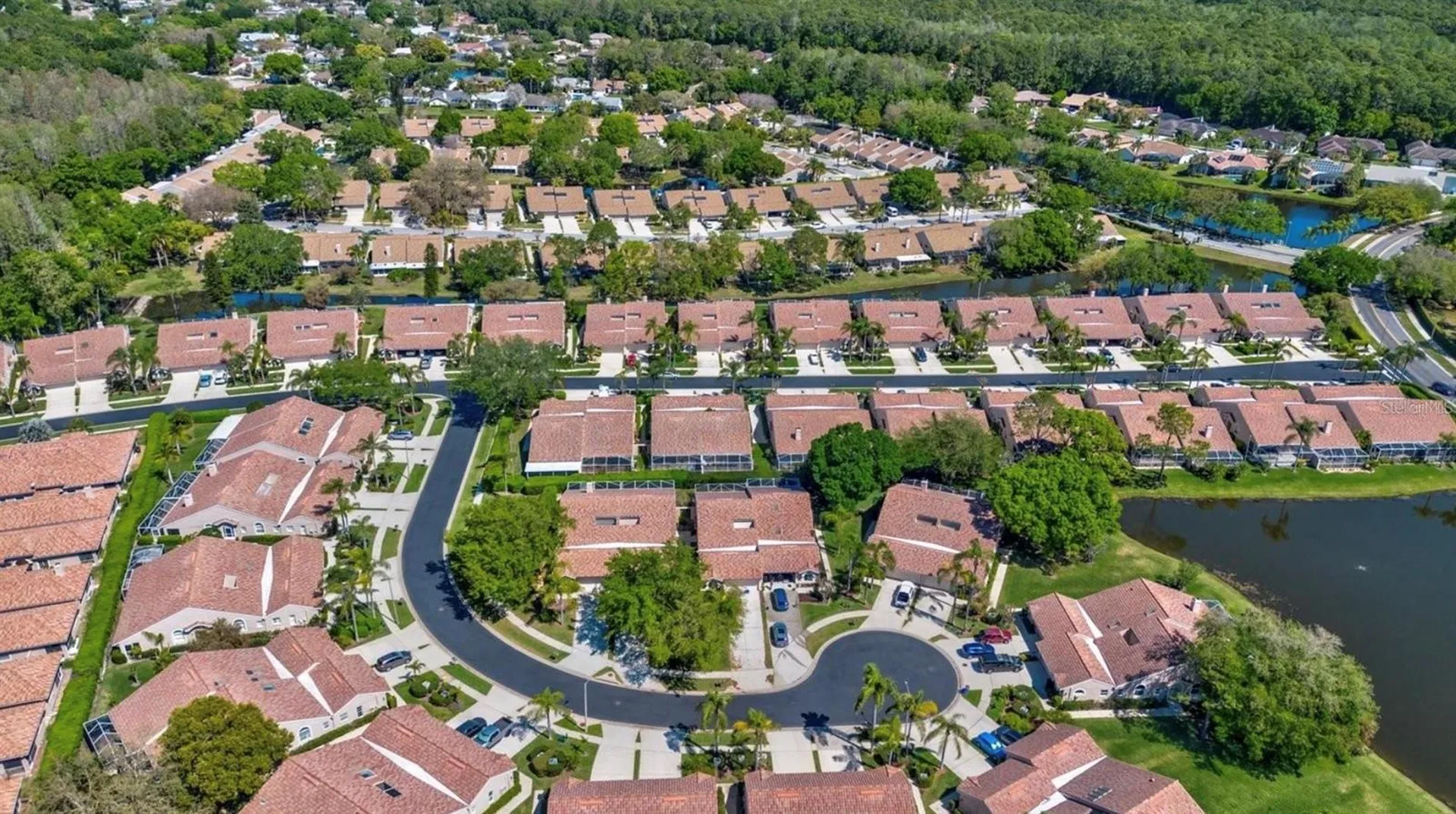 3867 Darston Street Palm Harbor FL 34685