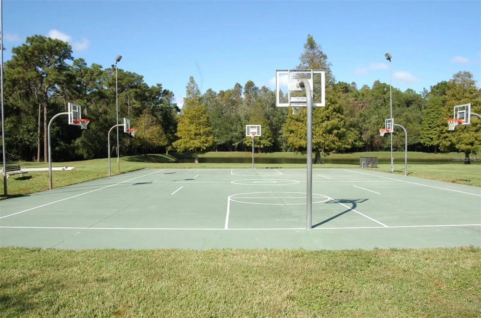 3867 Darston Street Palm Harbor FL 34685
