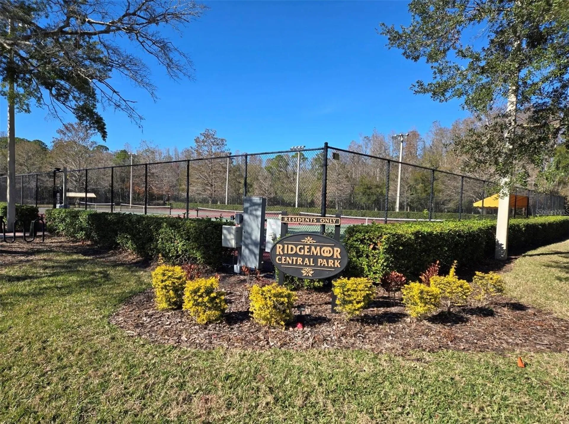 3867 Darston Street Palm Harbor FL 34685