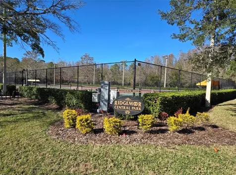 3867 Darston Street Palm Harbor FL 34685