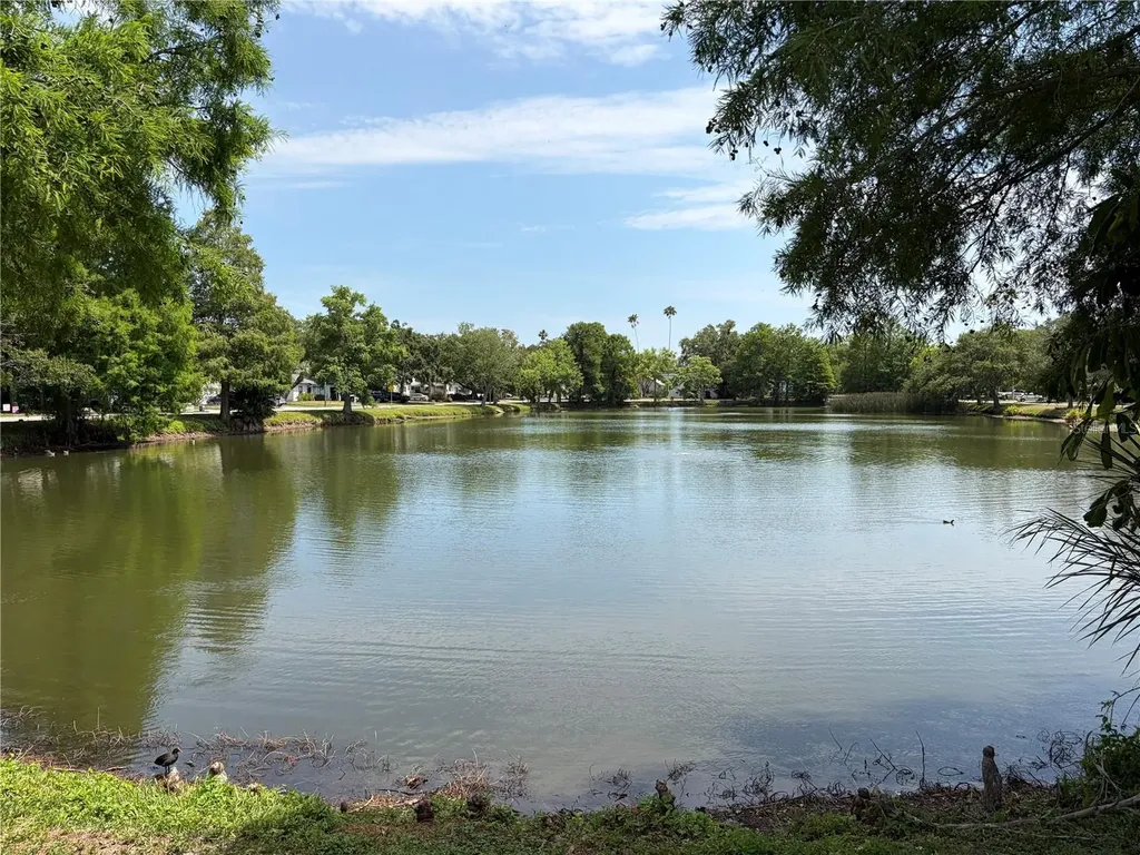 453 San Salvador Drive Dunedin FL 34698