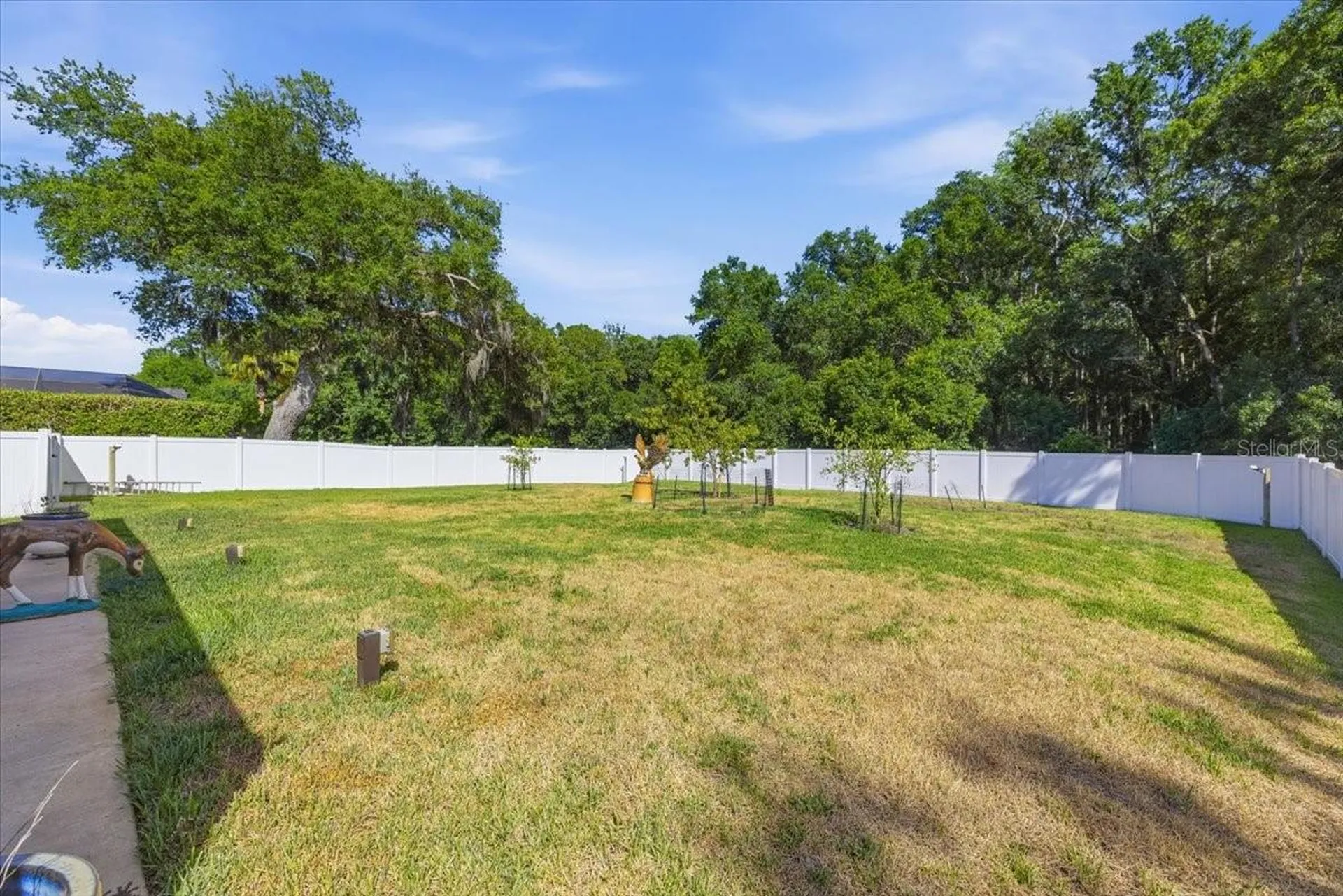 2818 Shipston Avenue New Port Richey FL 34655