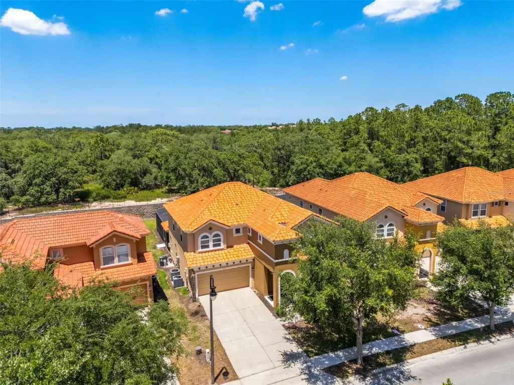 436 Orange Cosmos Boulevard Davenport FL 33837