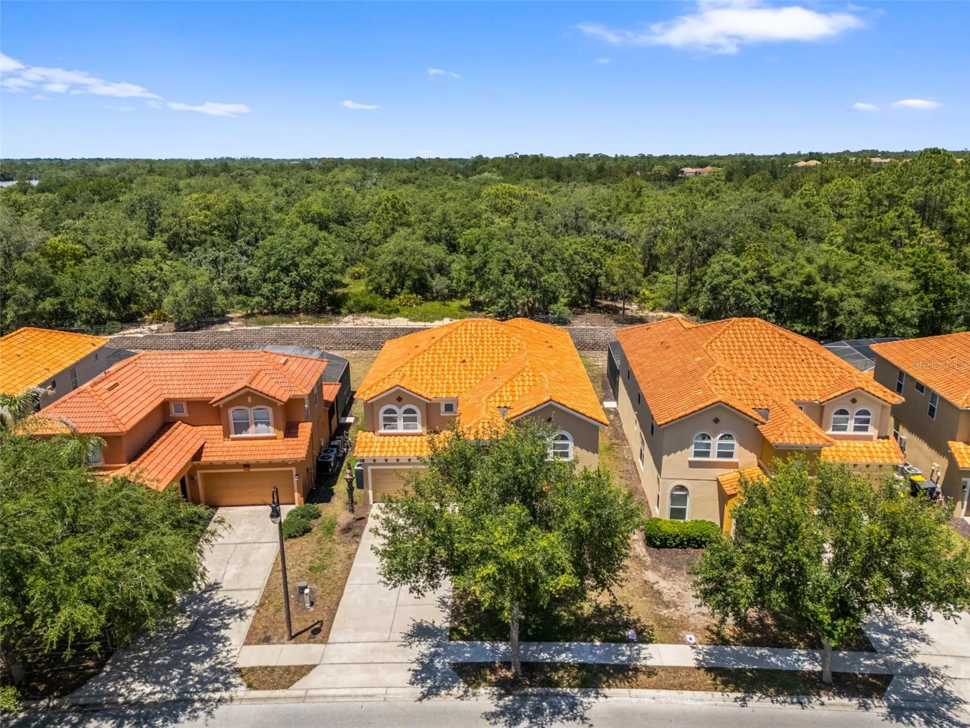 436 Orange Cosmos Boulevard Davenport FL 33837