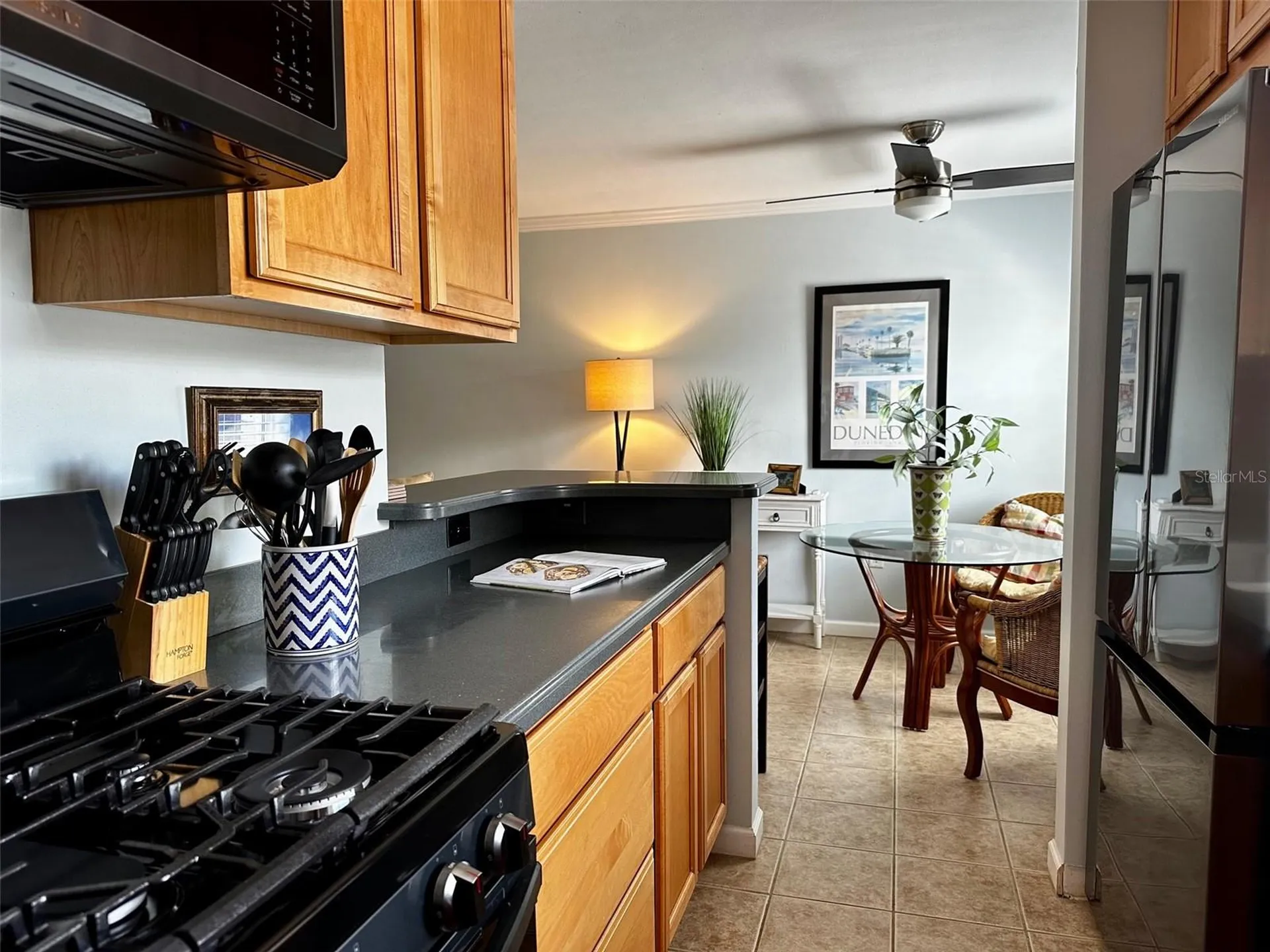 1101 Victoria Drive Dunedin FL 34698