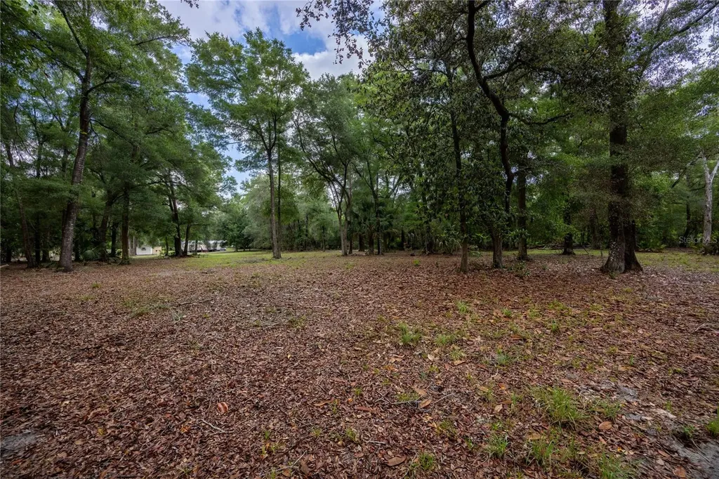 4950 SW 80th Street Chiefland FL 32626