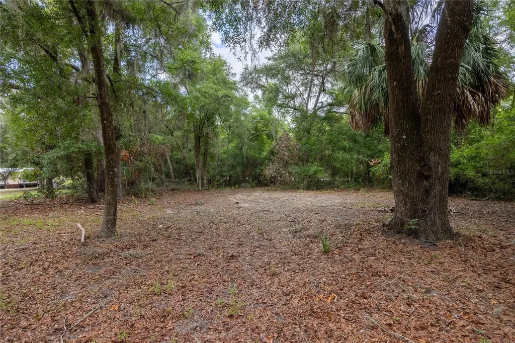 4950 SW 80th Street Chiefland FL 32626