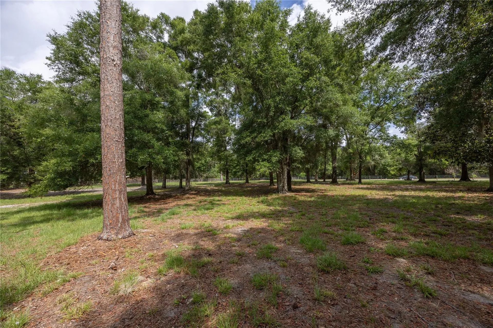 4950 SW 80th Street Chiefland FL 32626