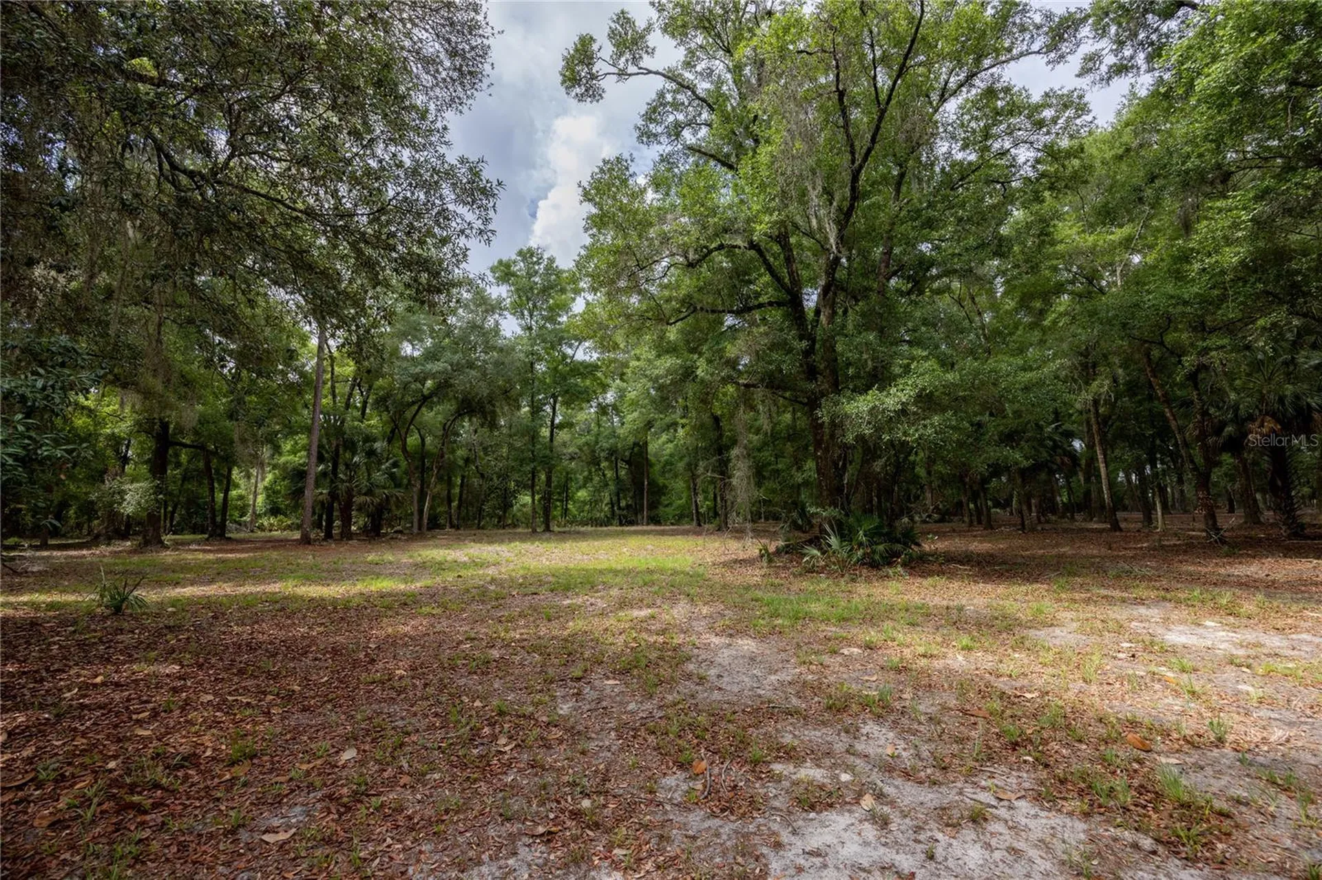 4950 SW 80th Street Chiefland FL 32626