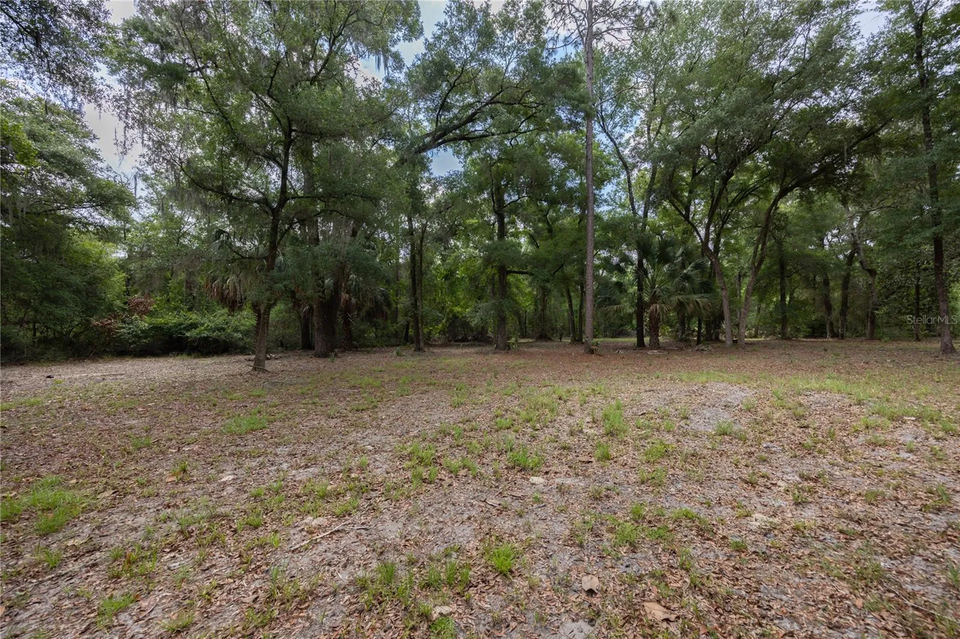 4950 SW 80th Street Chiefland FL 32626
