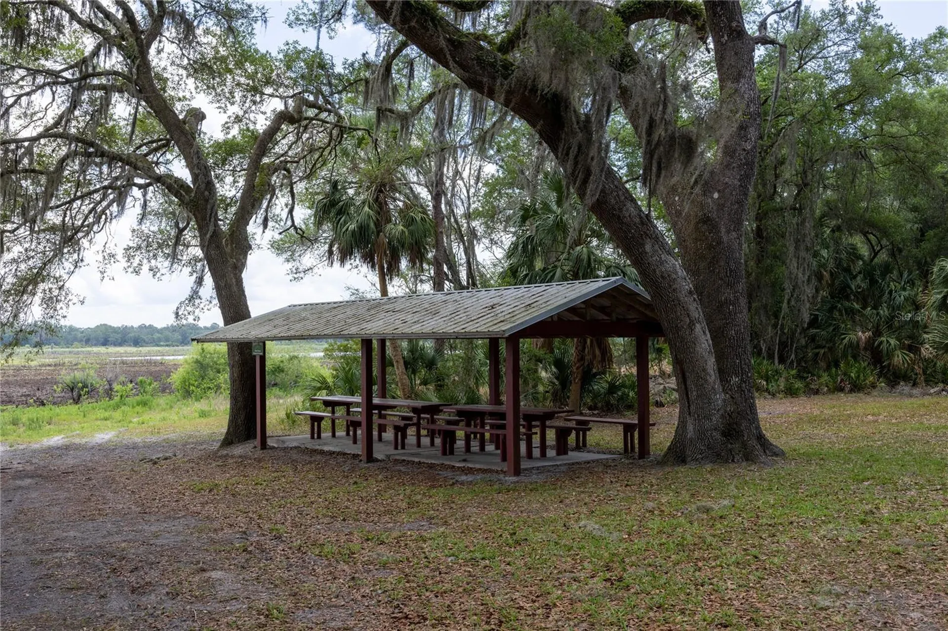 4950 SW 80th Street Chiefland FL 32626