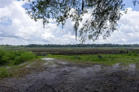 4950 SW 80th Street Chiefland FL 32626