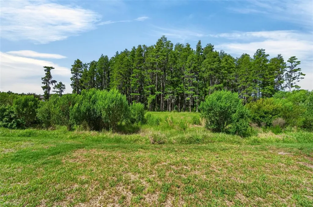 19474 Ship Wheel Way Land O Lakes FL 34638