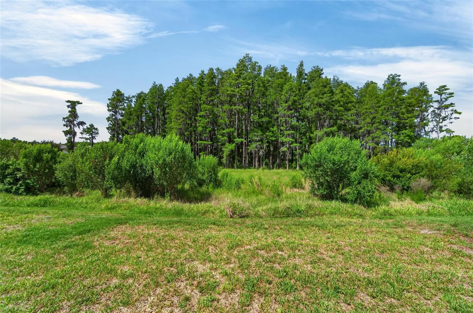 19474 Ship Wheel Way Land O Lakes FL 34638