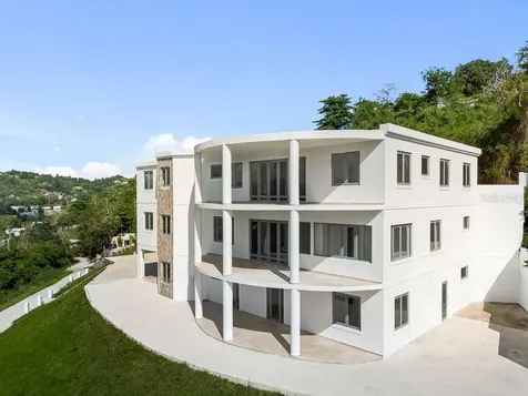 Carr 171 Mogote Cayey PR 00736