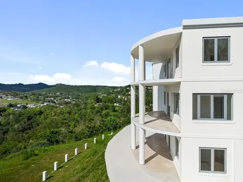 Carr 171 Mogote Cayey PR 00736