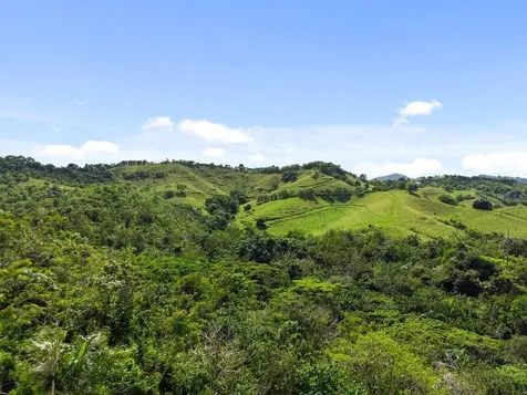 Carr 171 Mogote Cayey PR 00736