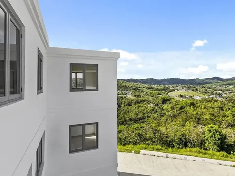 Carr 171 Mogote Cayey PR 00736