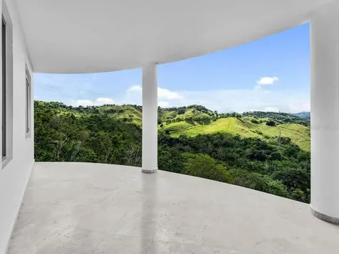 Carr 171 Mogote Cayey PR 00736