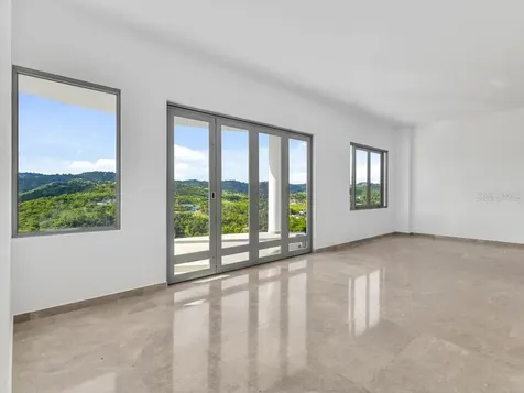 Carr 171 Mogote Cayey PR 00736