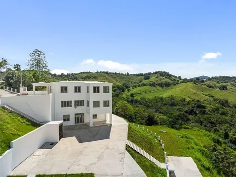 Carr 171 Mogote Cayey PR 00736