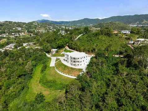 Carr 171 Mogote Cayey PR 00736