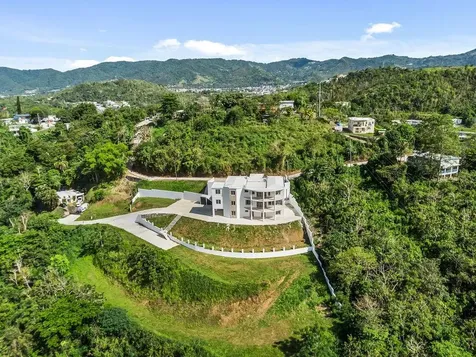 Carr 171 Mogote Cayey PR 00736