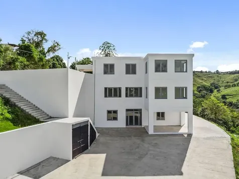 Carr 171 Mogote Cayey PR 00736