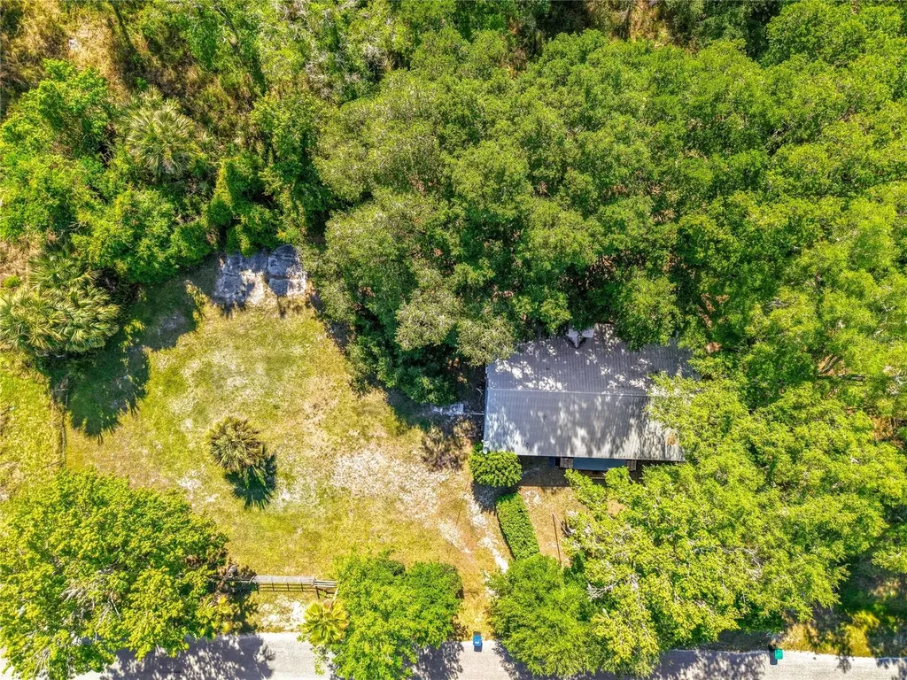 1338 Saint Nicholas Avenue Christmas FL 32709