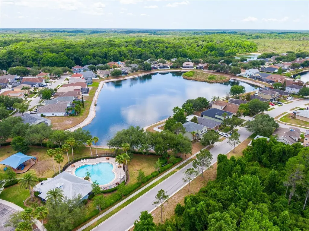15406 Pepper Pine Court Land O Lakes FL 34638