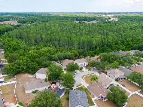 15406 Pepper Pine Court Land O Lakes FL 34638