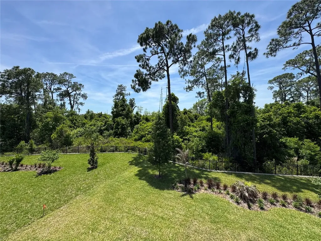 17342 Glossy Pomelo Way Winter Garden FL 34787