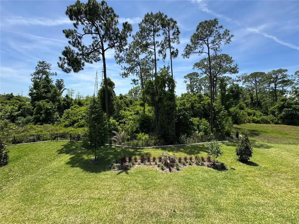 17342 Glossy Pomelo Way Winter Garden FL 34787
