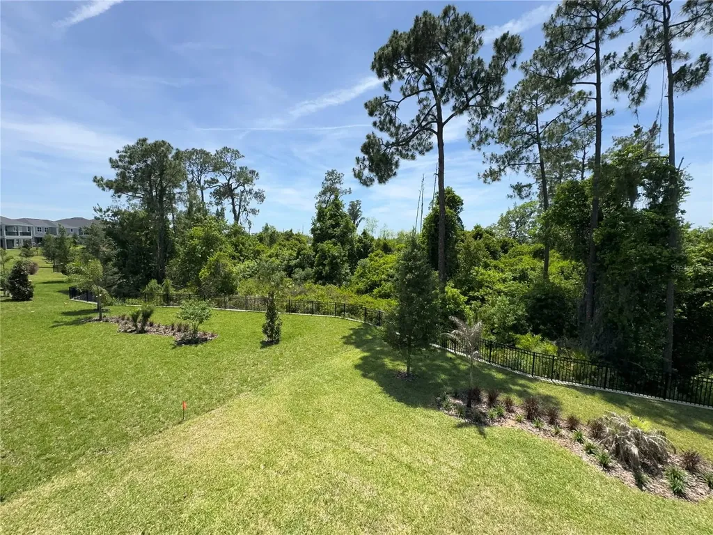 17342 Glossy Pomelo Way Winter Garden FL 34787
