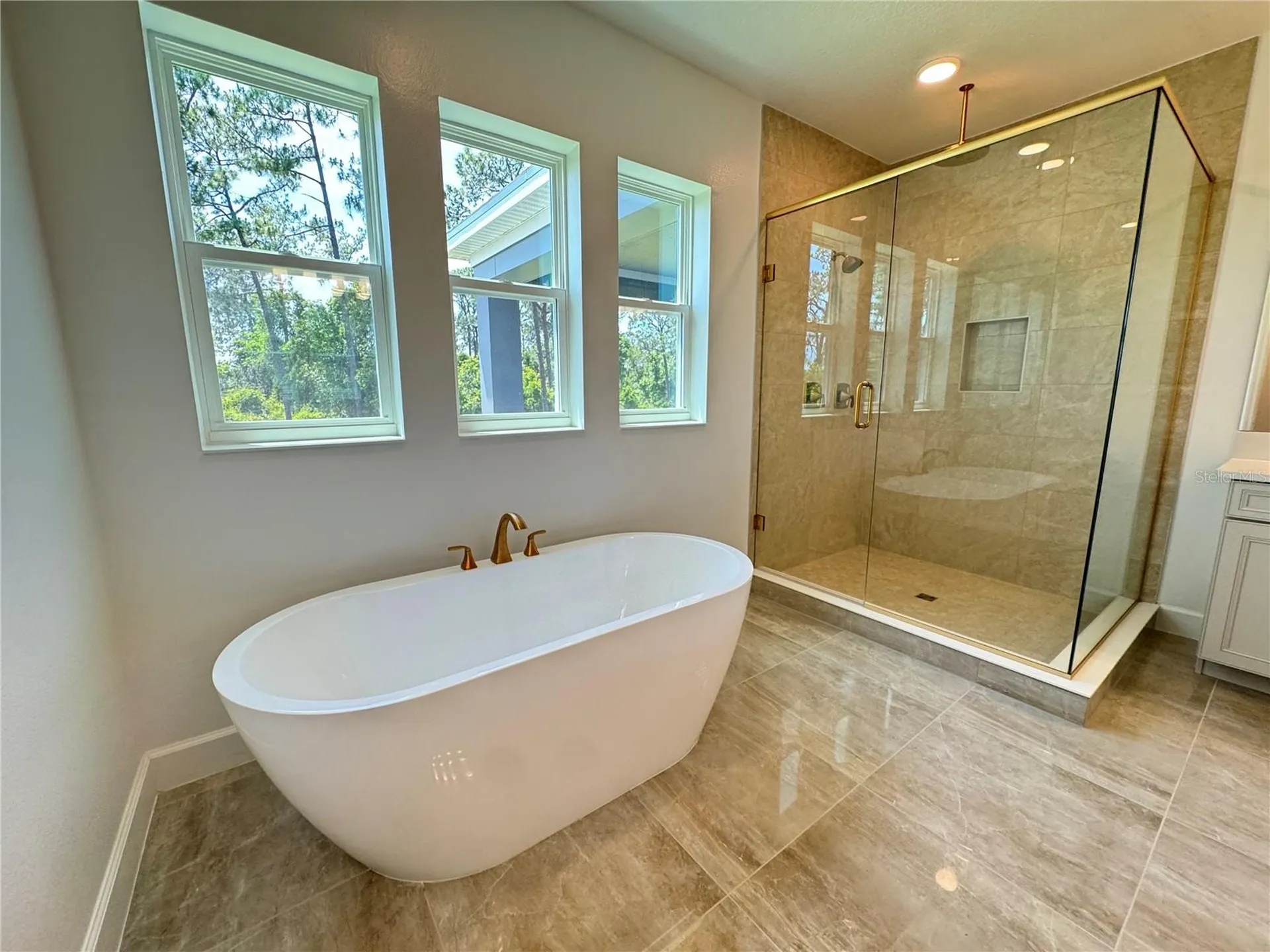17342 Glossy Pomelo Way Winter Garden FL 34787