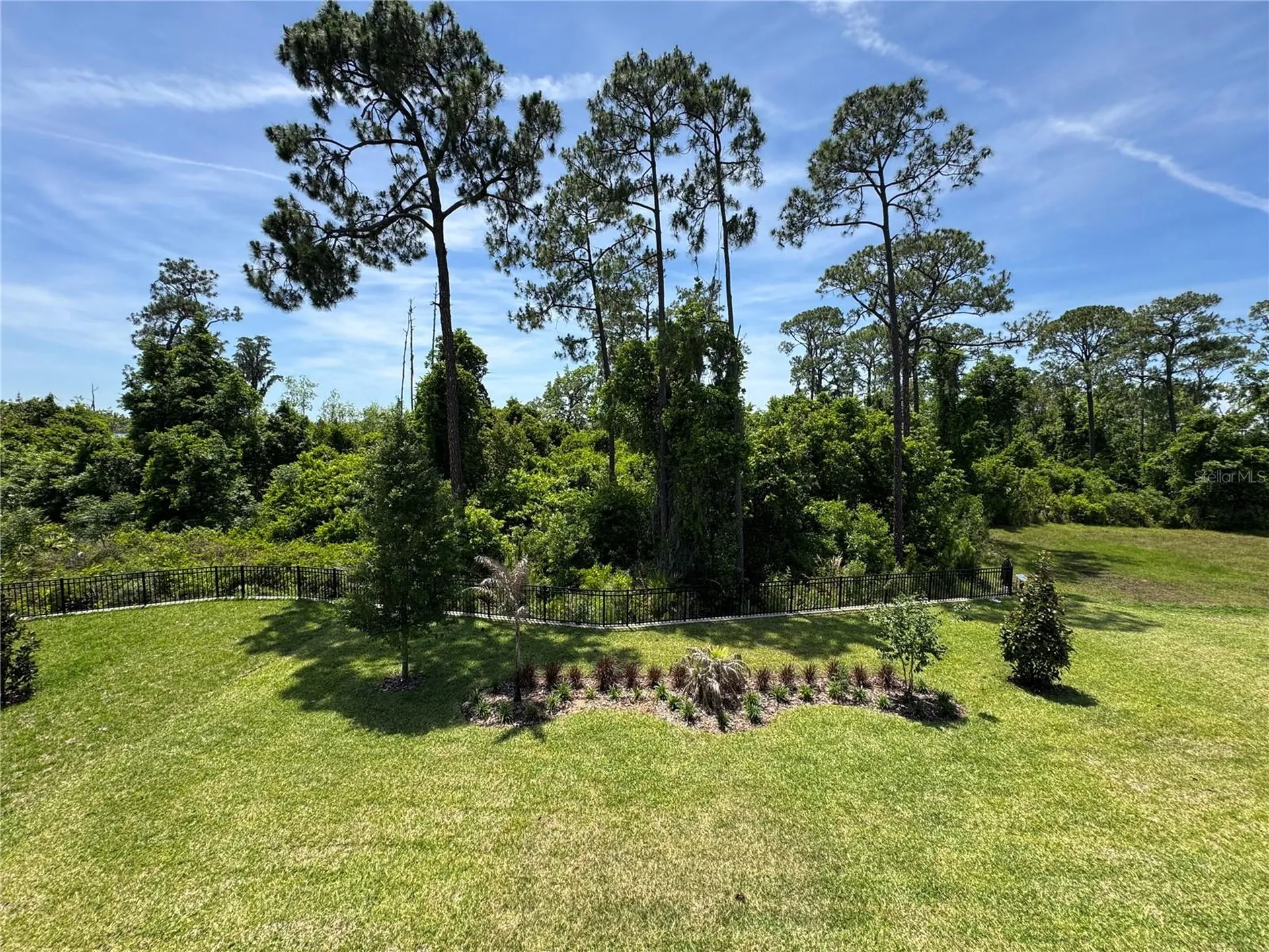 17342 Glossy Pomelo Way Winter Garden FL 34787