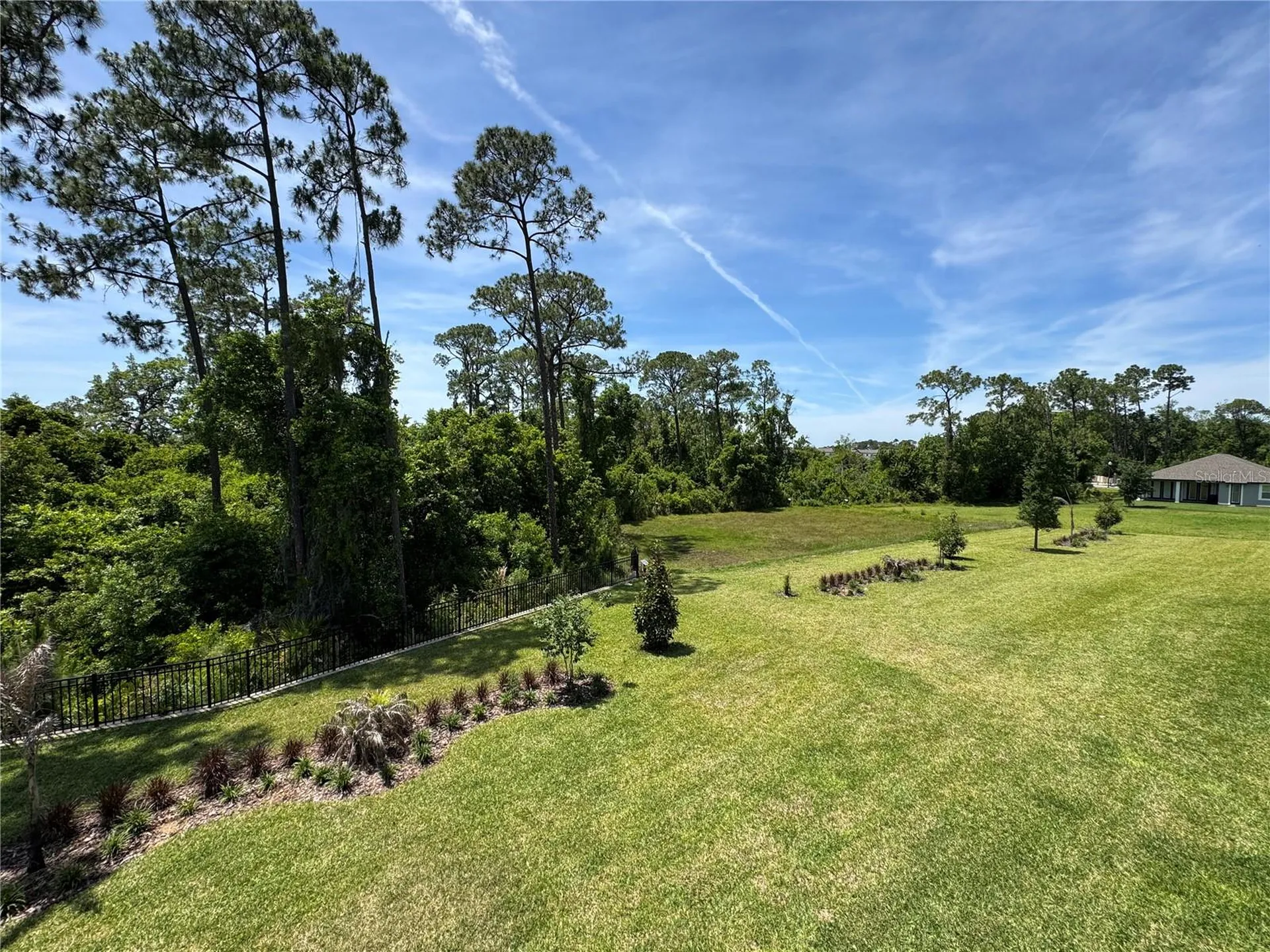 17342 Glossy Pomelo Way Winter Garden FL 34787